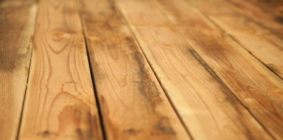 What You Need To Know About Cedar Flooring - Artisan Wood Floors LLC