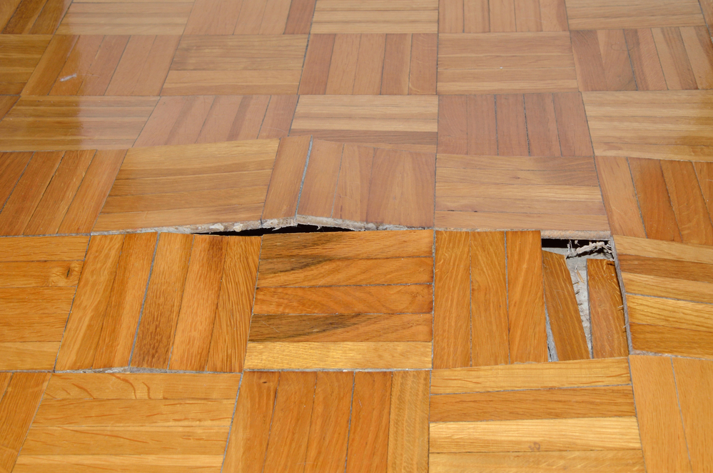 Sanding, Refinishing, Restoring: How To Tell What Your Wood Floors Need And When They Need It