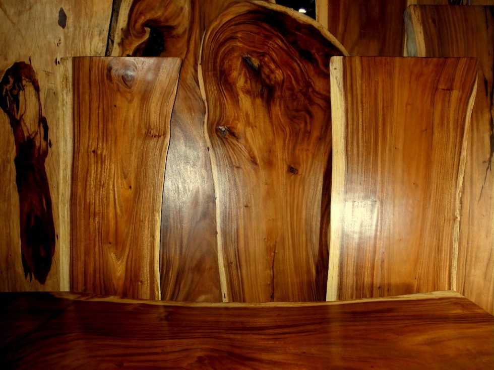 What Are The Most Sustainable Wood Flooring Options? Artisan Wood Floors LLC